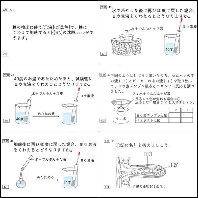中学受験　暗記カード　理科 　生物　サピックス　予習シリーズ　コアプラス