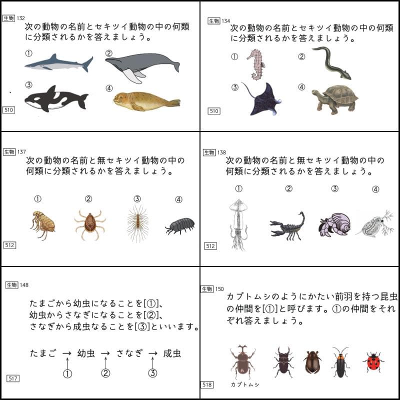 中学受験　暗記カード　理科 　生物　サピックス　予習シリーズ　コアプラス