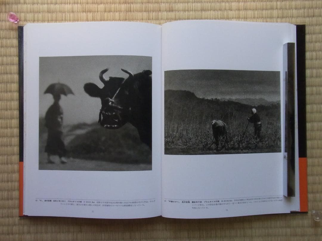 日本写真全集2 芸術写真の系譜 写真集 帯付 月報付 小学館