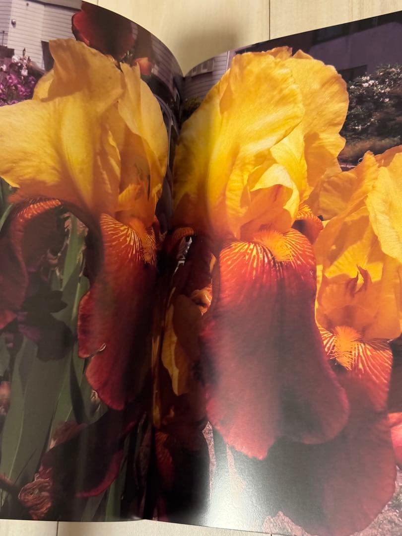 【新品！サイン署名！初版！】森山大道　記録16号 中平卓馬　細江英公