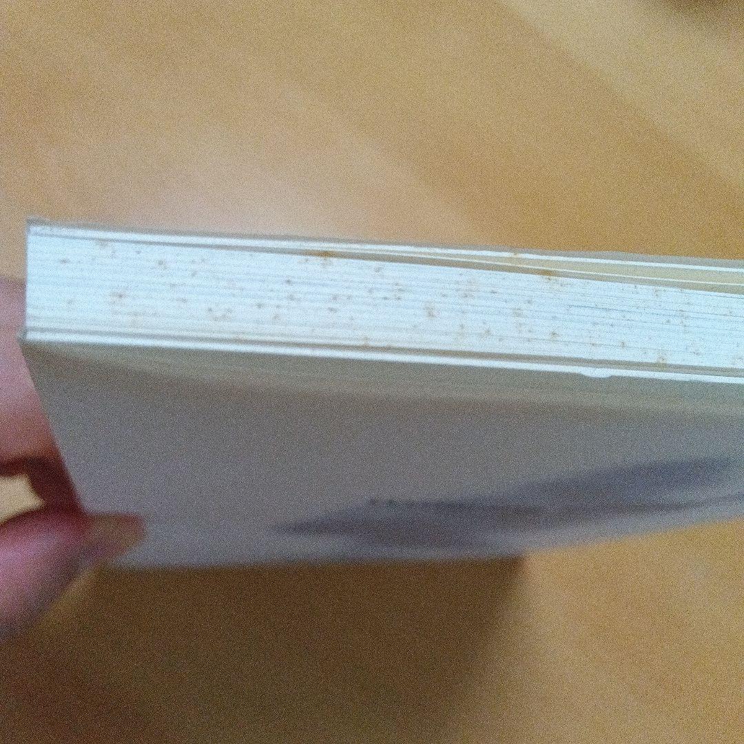 アート・デザイン・音楽 Wolfgang Tillmans Wako Book 1999