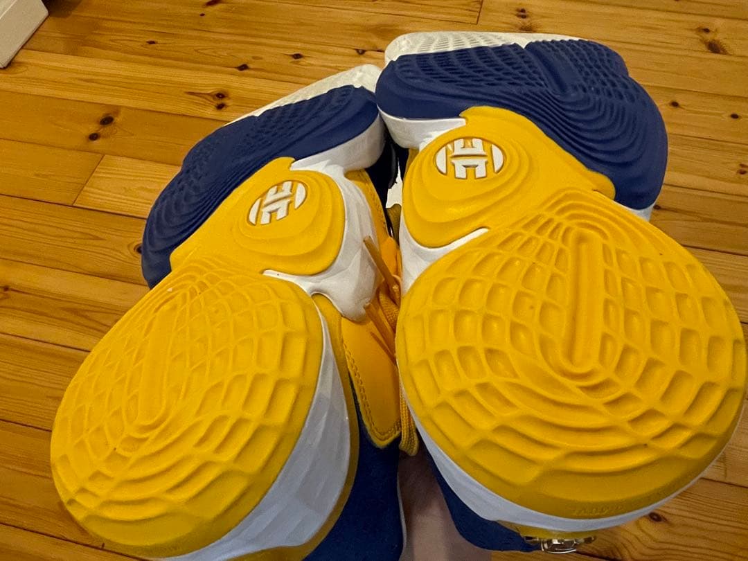 シューズ(男性用) harden4 25cm