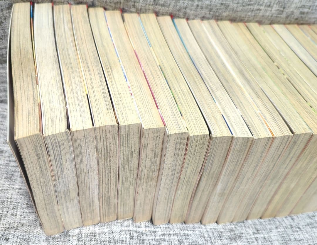 天は赤い河のほとり 全巻・ファンブック・暁に立つライオン 全３０冊セット