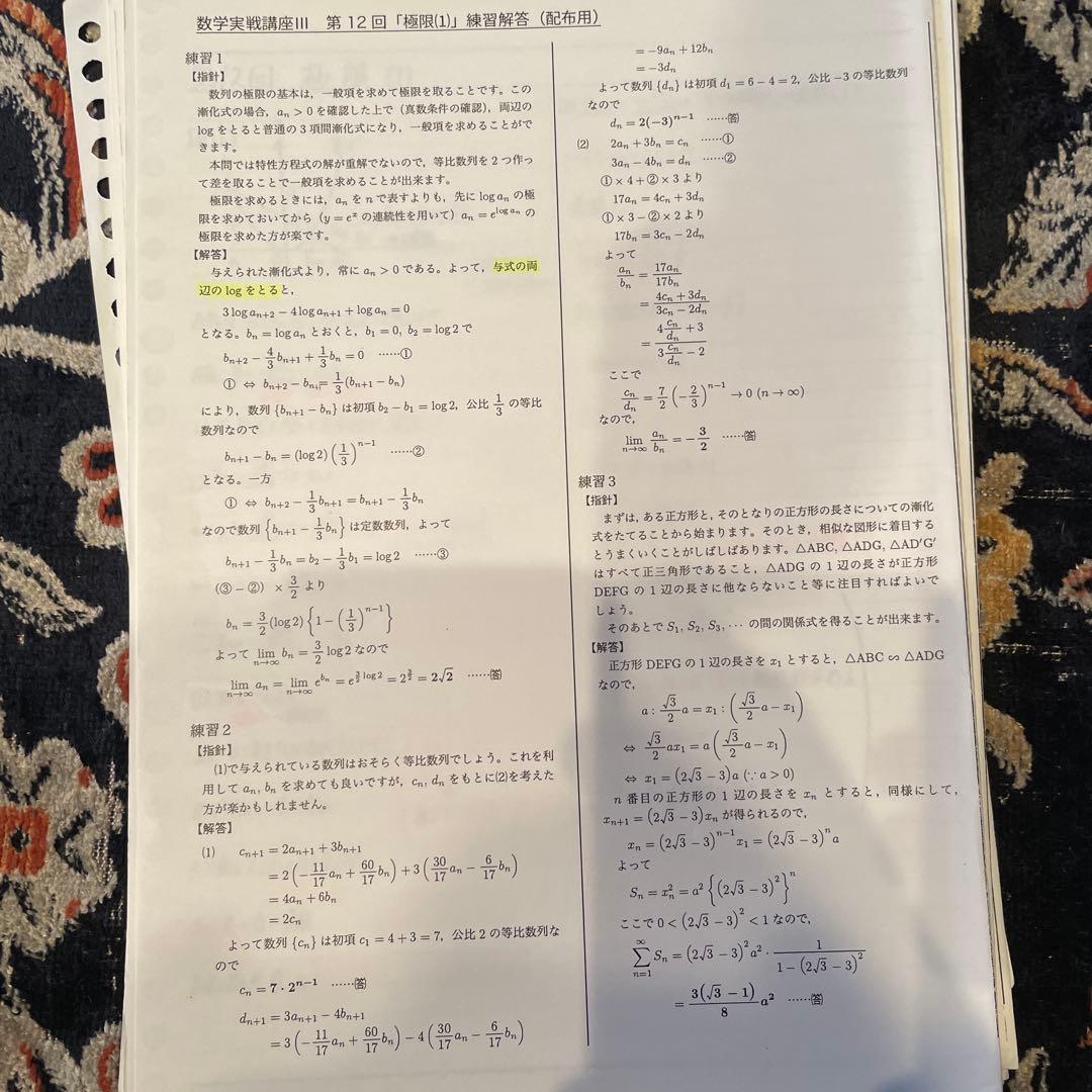 鉄緑会　高2数学数学実験講座 III テキスト、板書、練習解答