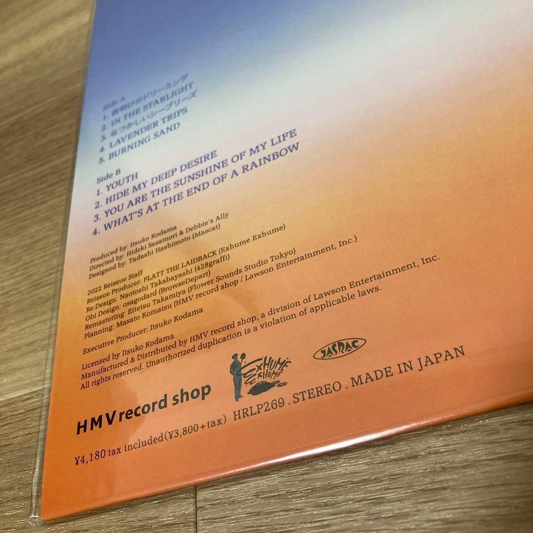 Debbie's Ally 夜明けのDREAMING レコード LP アナログ