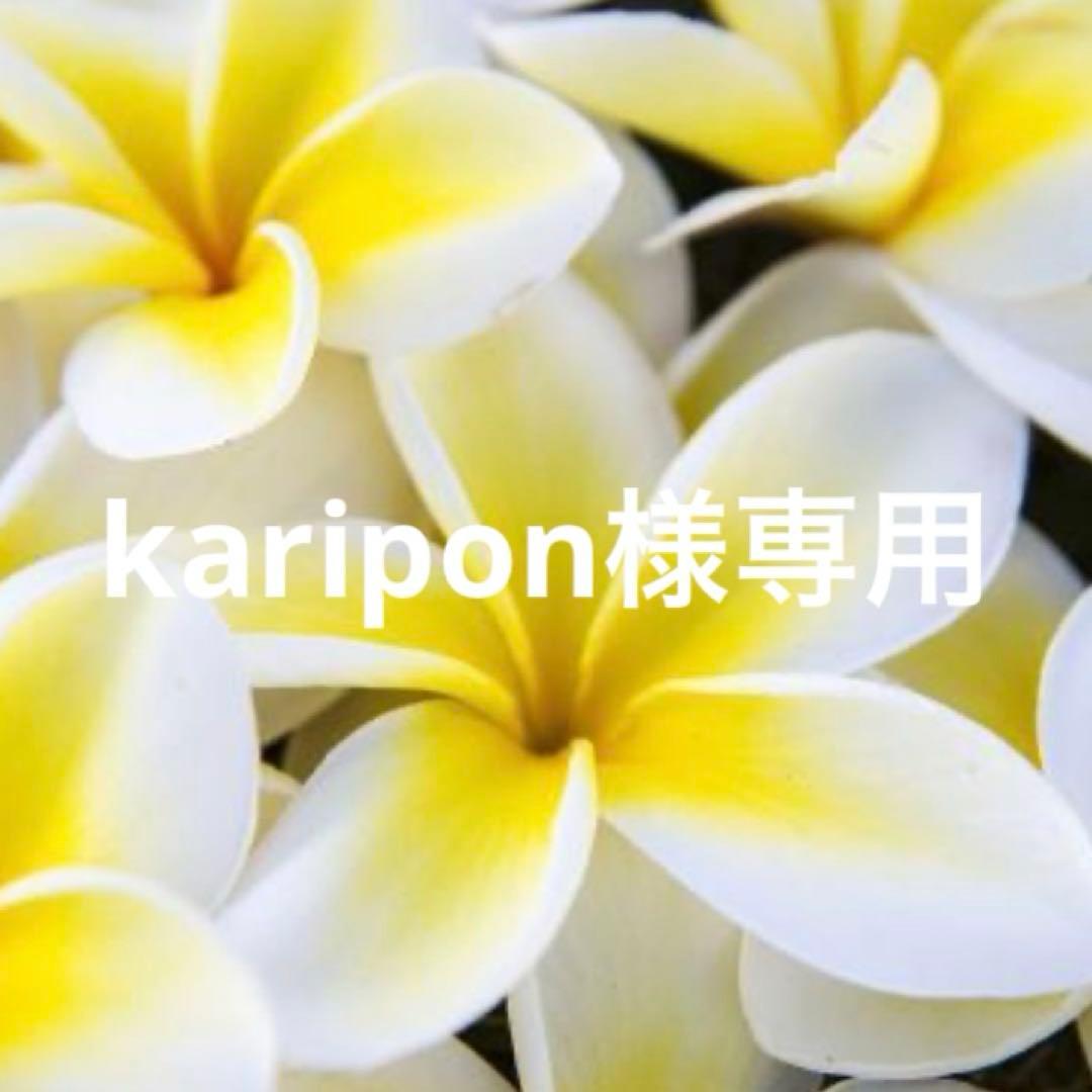 シャンプー karipon