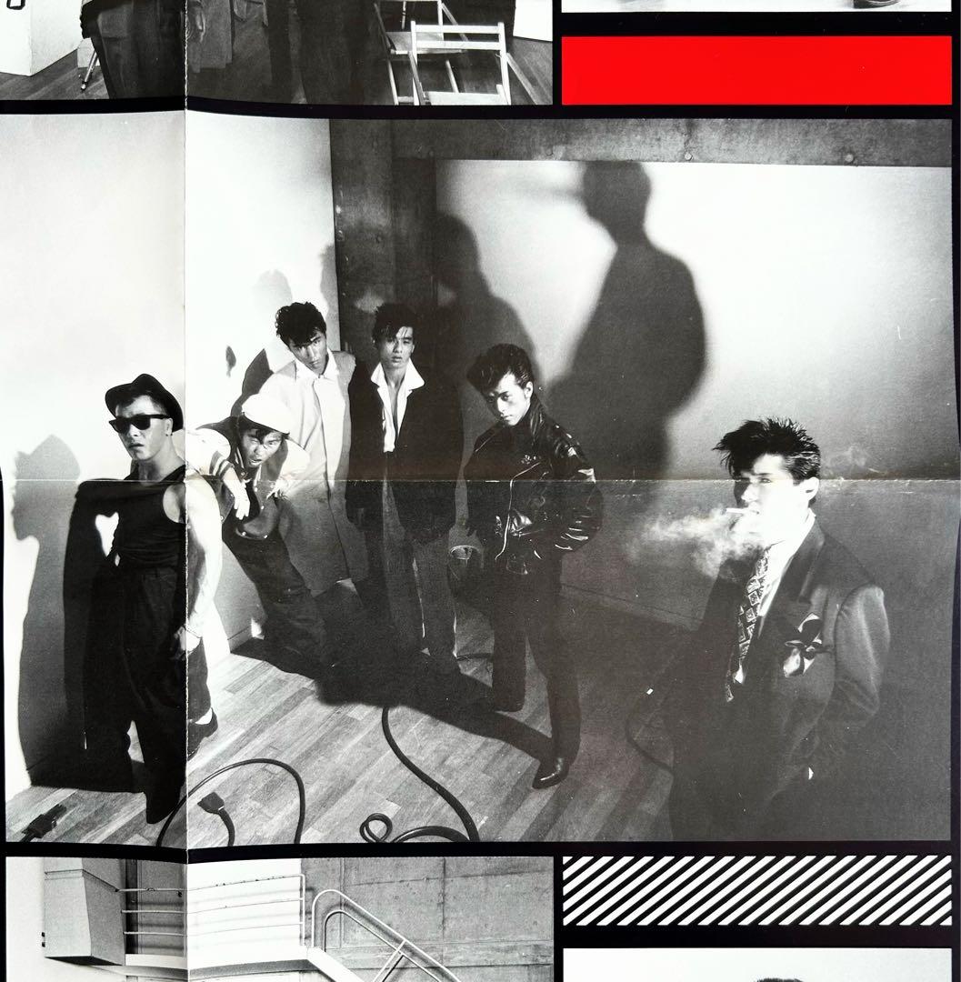 Black Cats 初期傑作をじっくり愛でる3選 オリジナル帯付美盤セット