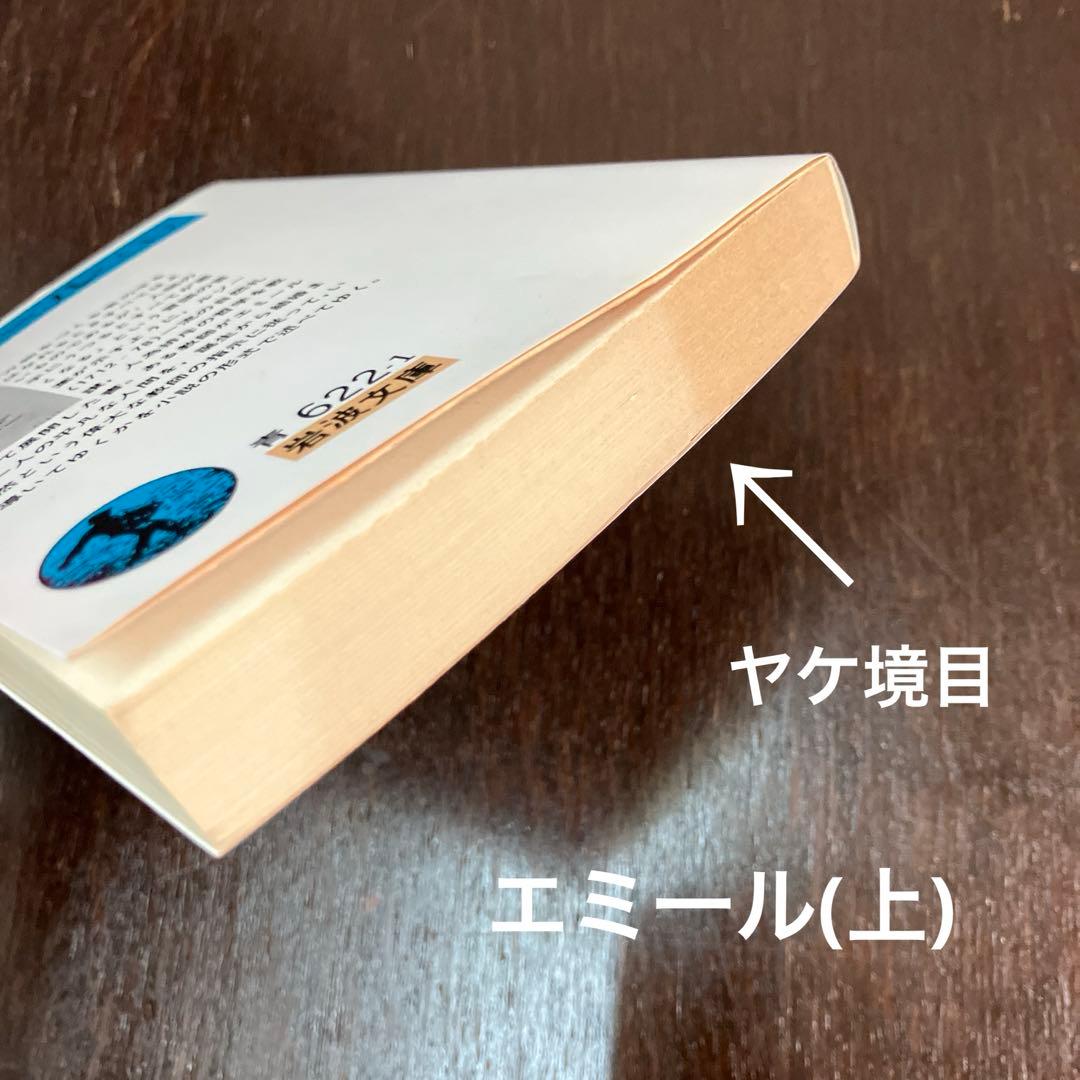 岩波文庫　まとめ売り　25冊セット