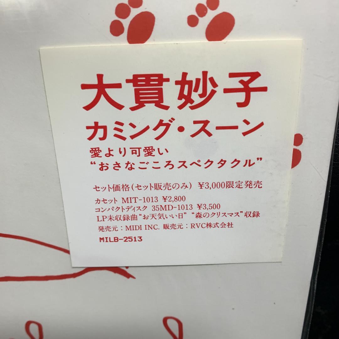 見本版　非売品　大貫妙子　Taeco Onuki カミングスーンLP　絵本