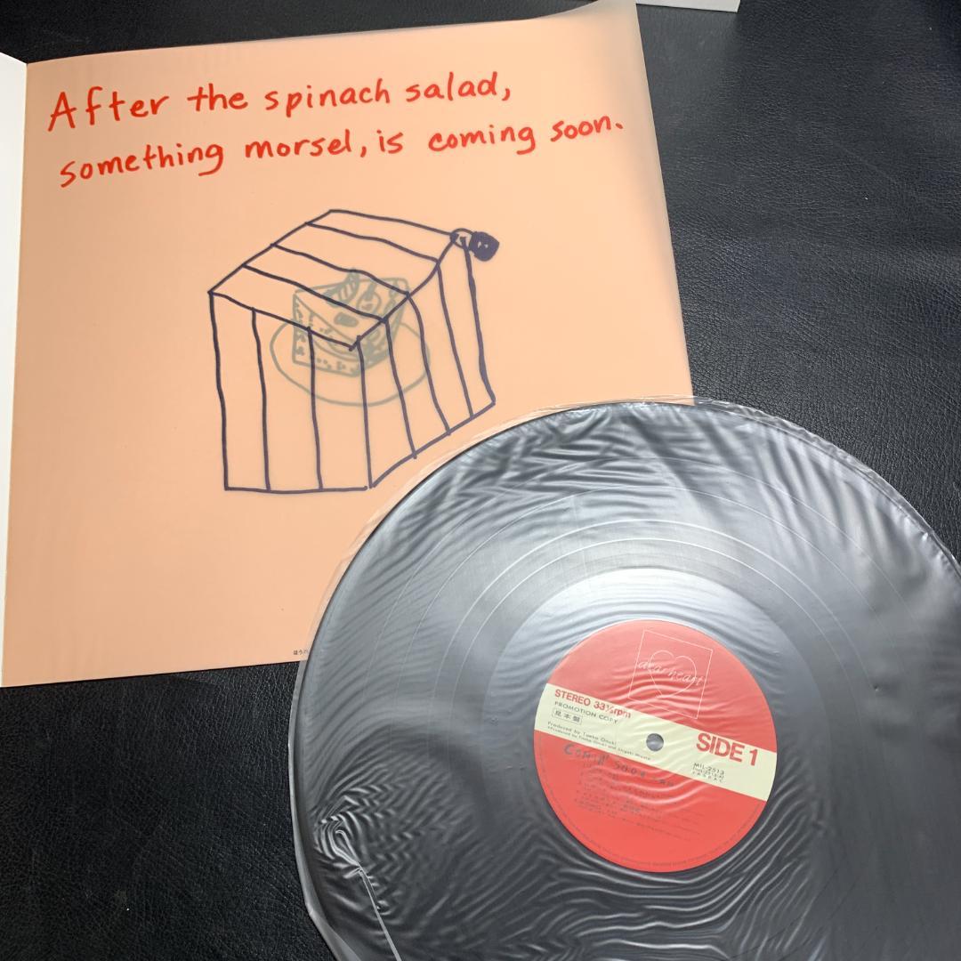 見本版　非売品　大貫妙子　Taeco Onuki カミングスーンLP　絵本