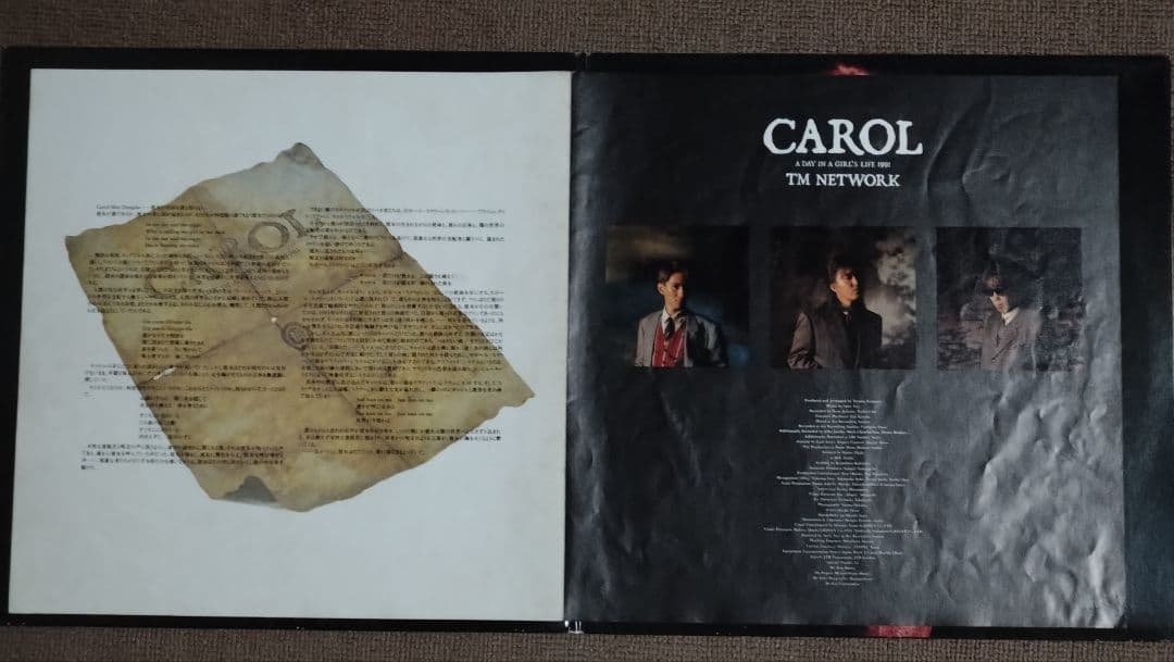 TM NETWORK CAROL LPレコード2枚組