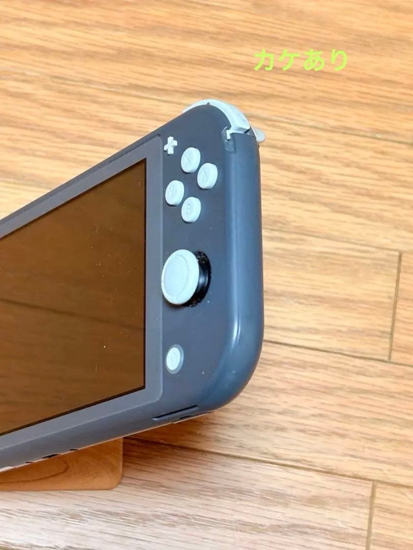 Nintendo Switch Lite 本体 のみ　2台セット
