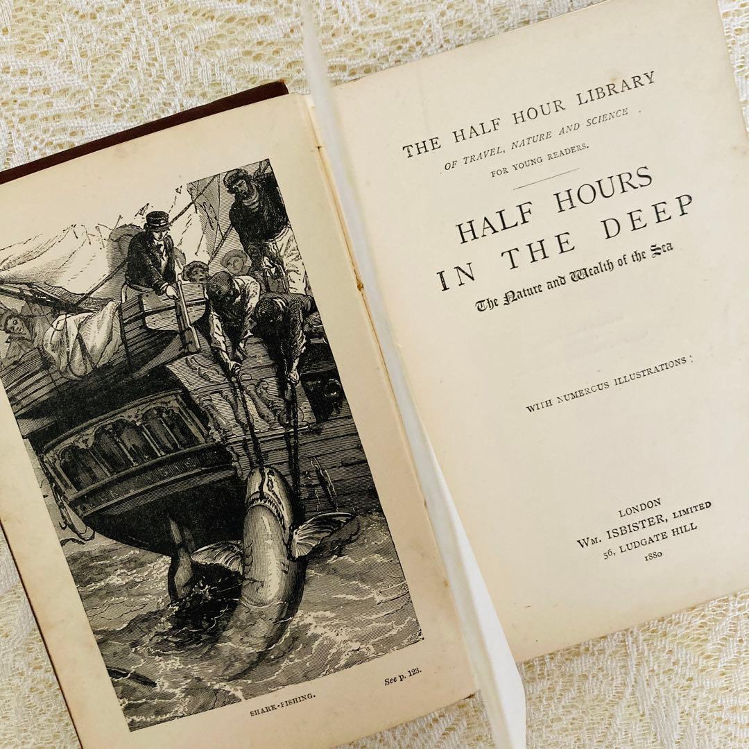 洋書　古書　美しいアンティークブック　1880年発行　海の驚異　海の生き物　自然
