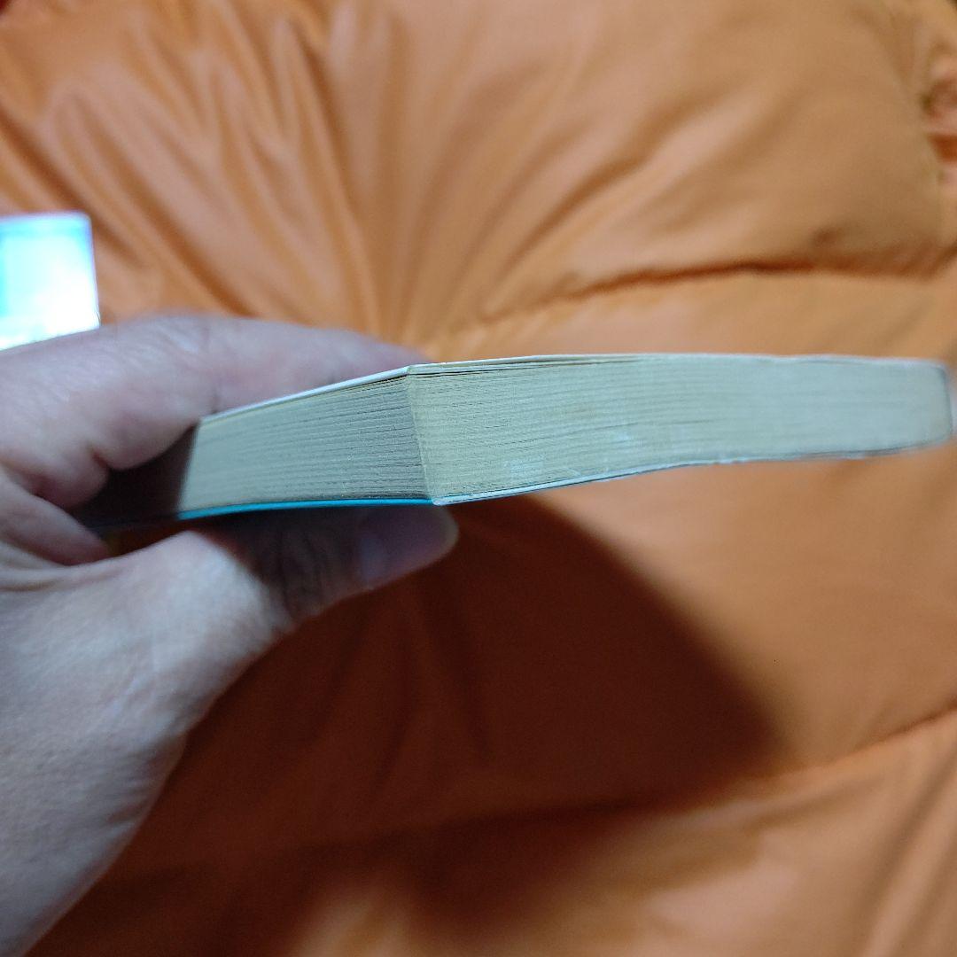 DRAGON BALL ジャンプコミックス 第13巻 初版 美品 CN付き