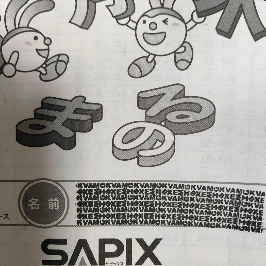 サピックス　SAPIX 小学5年1年分 国語 教材セット 欠番 なし　使用済み