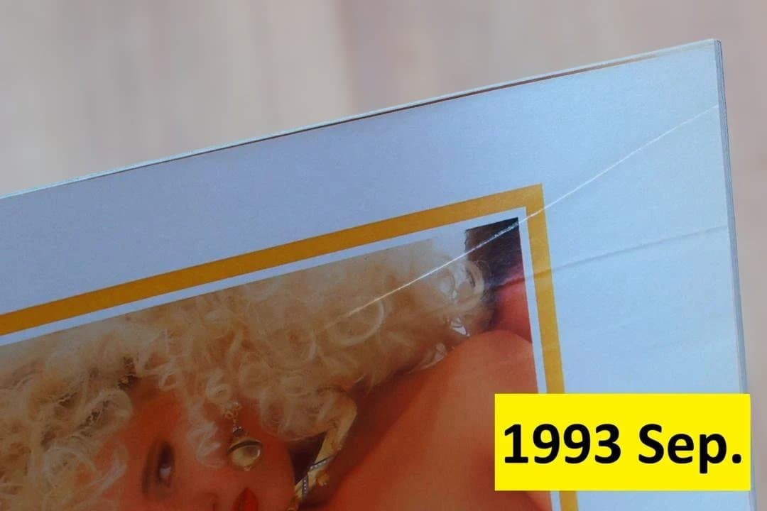 【海外版】月刊PENTHOUSEアメリカ版1993年12冊セット