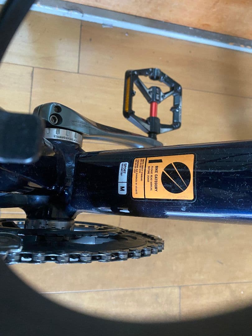 s*3様 CANYON ENDURACE 6 (2020)