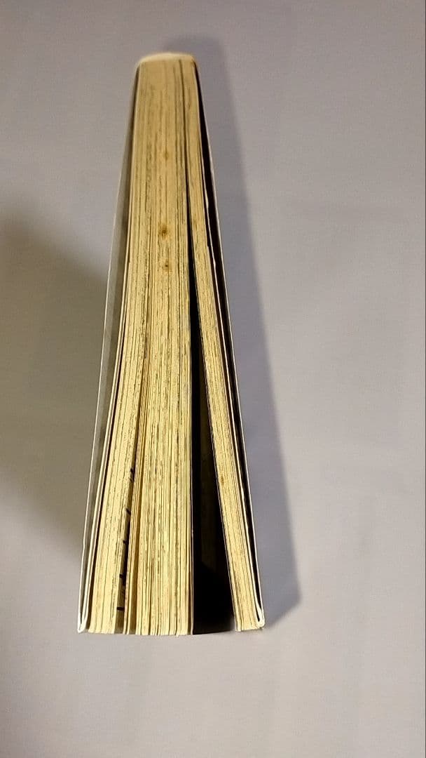 【初版】ＲＡＶＥ １ / 真島 ヒロ / 講談社