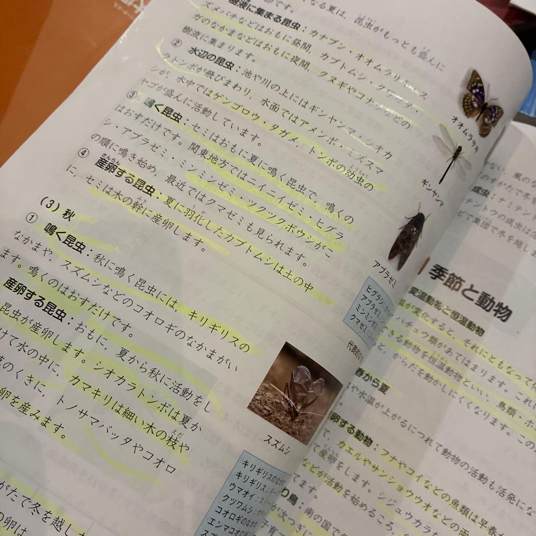 四谷大塚予習シリーズ 5年 演習問題集　書き込み少なめ 新5年生 中学受験教材