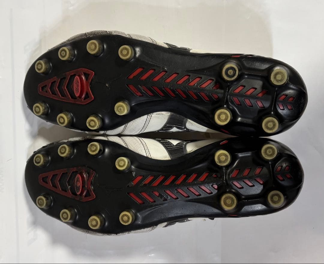 モレリアネオ3 25.5㎝