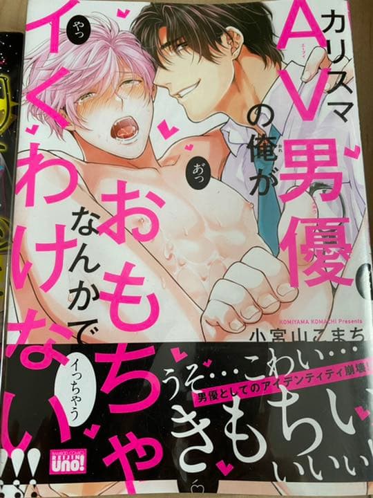 BL漫画 セット売り SMプレイシリーズ
