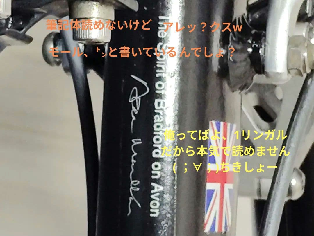 ブリジストン　モールトン　Fキャリア付属　 シートSELLEAN-ATOMICA