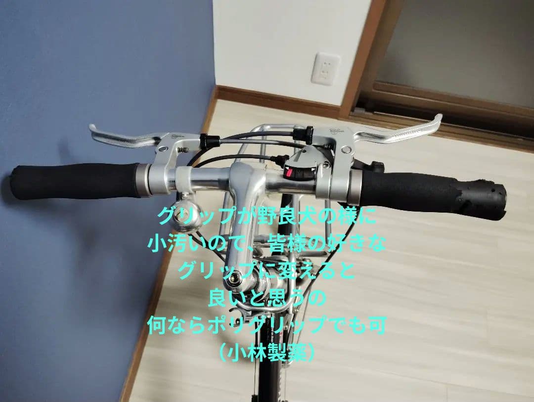 ブリジストン　モールトン　Fキャリア付属　 シートSELLEAN-ATOMICA