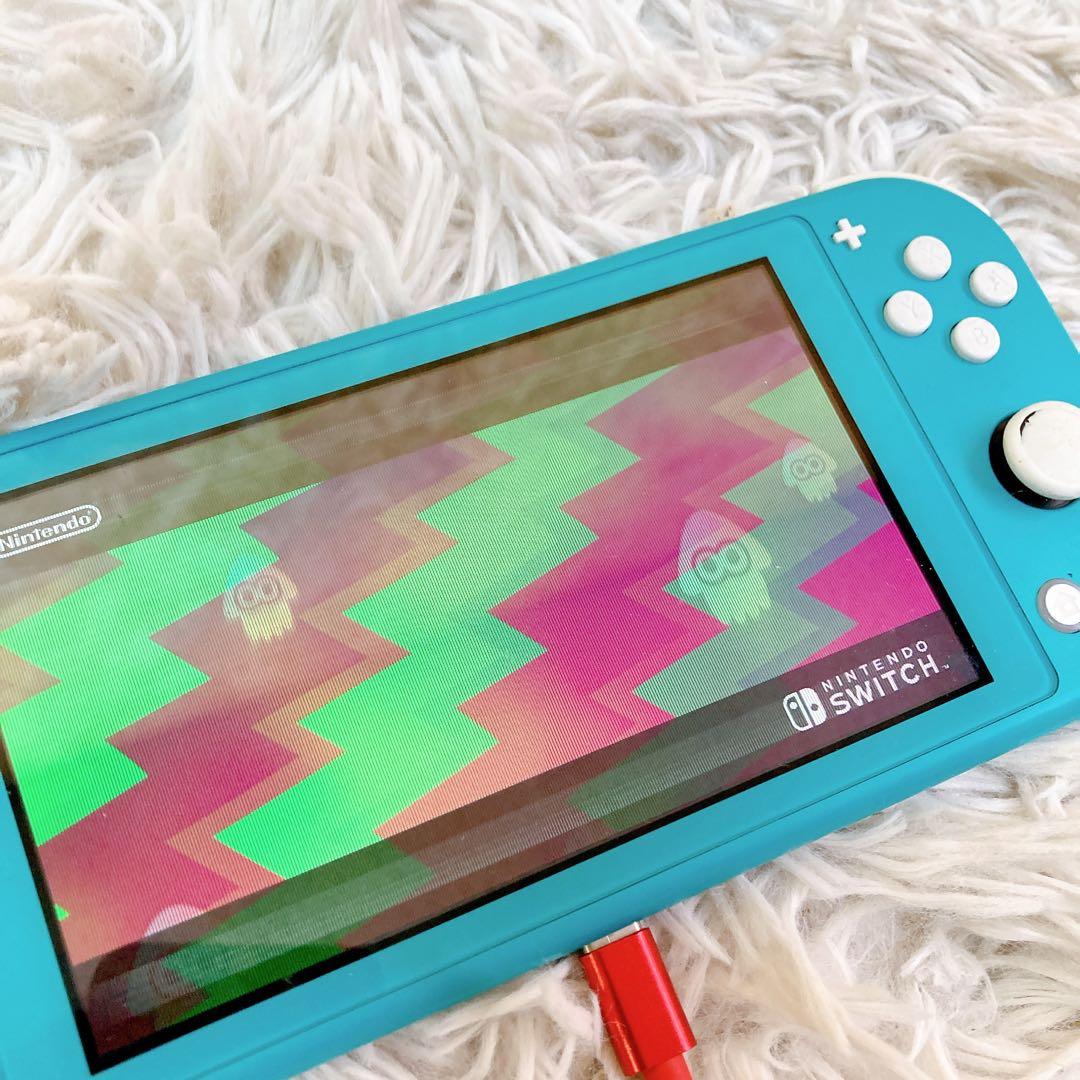 Nintendo switch lite HDH-001 本体　スイッチライト
