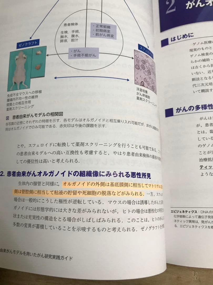 ※１ぺージ落丁有　患者由来がんモデルを用いたがん研究実践ガイド