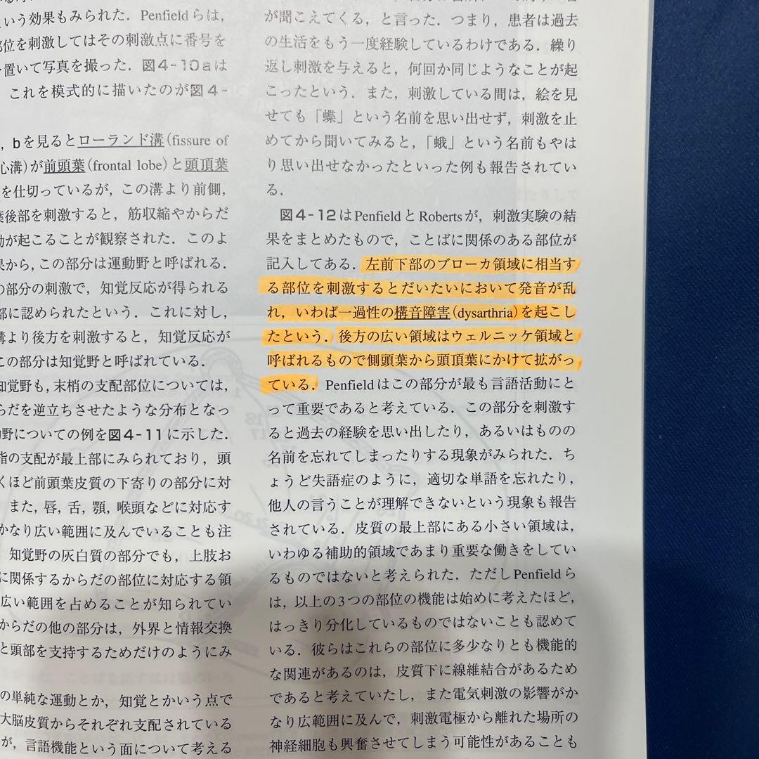 R⑤ 新ことばの科学入門 医学書院