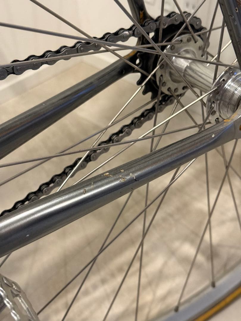 bluelug fairweather track Lサイズ　シティサイクル