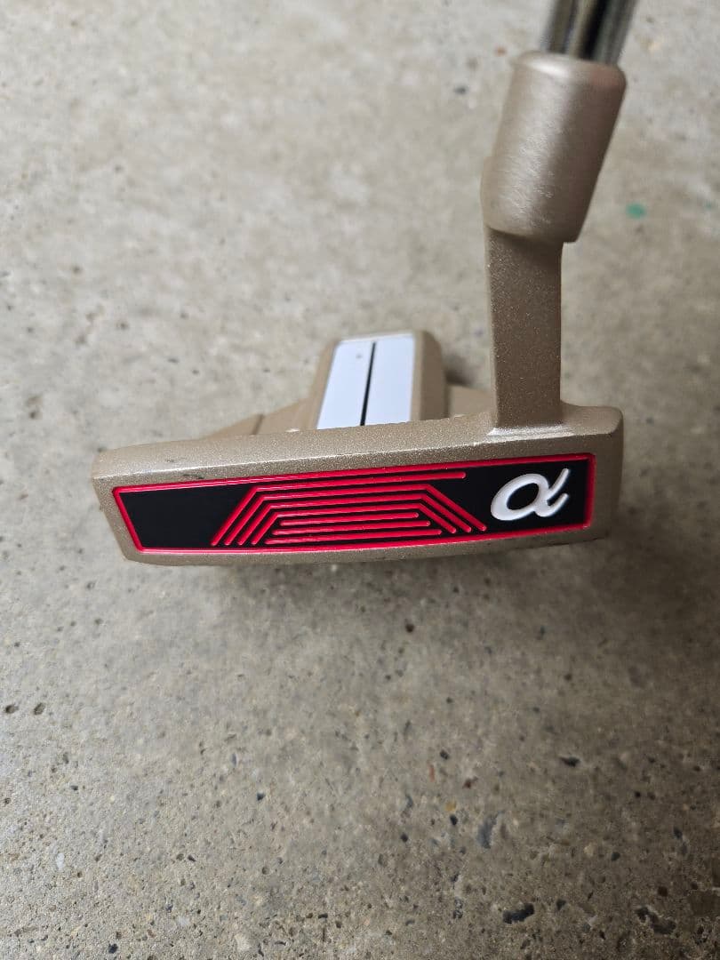 ワールドイーグル　メンズゴルフ10本セット　FLEX-R