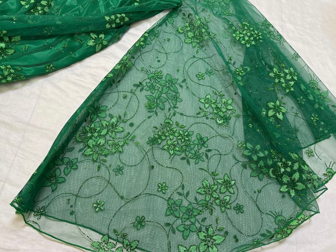 社交ダンス　ドレス　衣装　パーティ　鮮やか　グリーン　花　刺繍　レース　韓国製