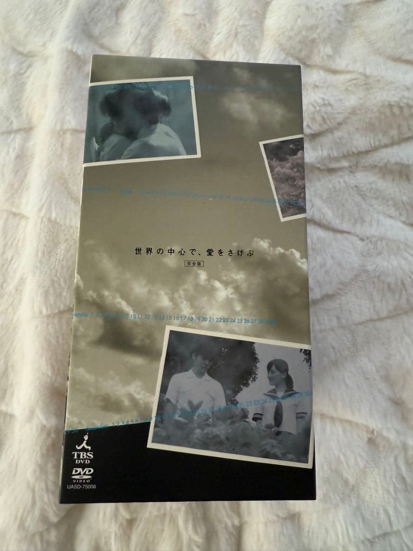 世界の中心で、愛をさけぶ DVDBOX