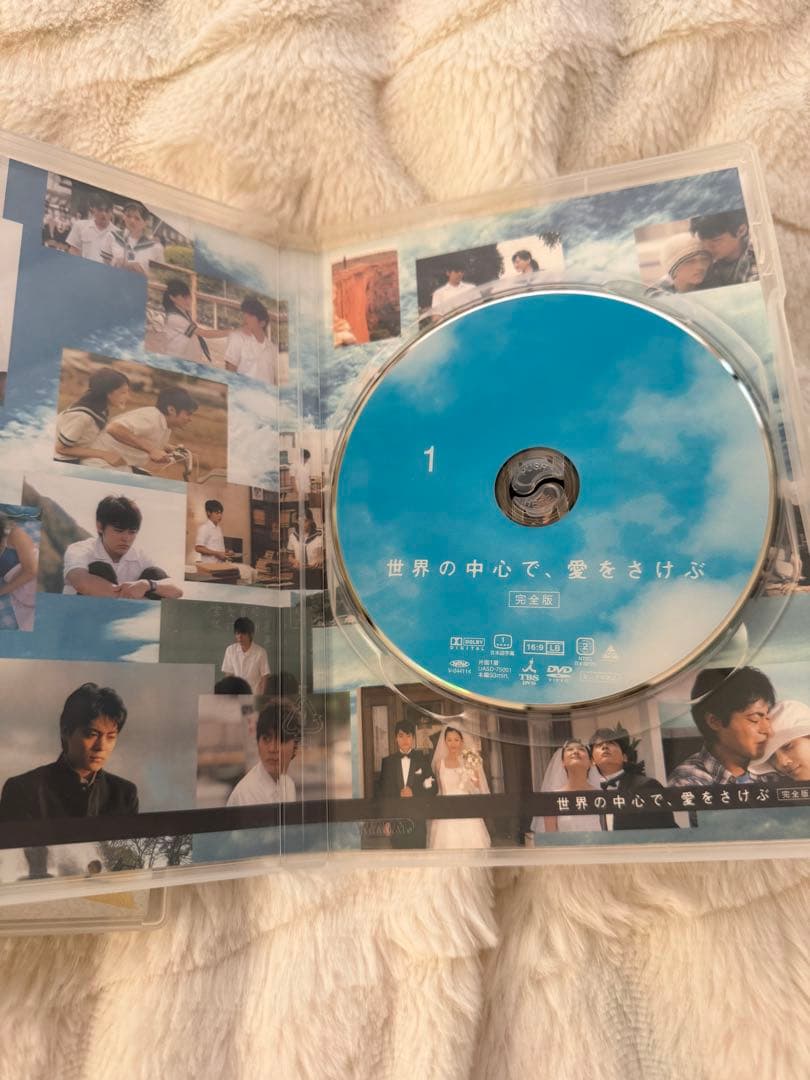 世界の中心で、愛をさけぶ DVDBOX