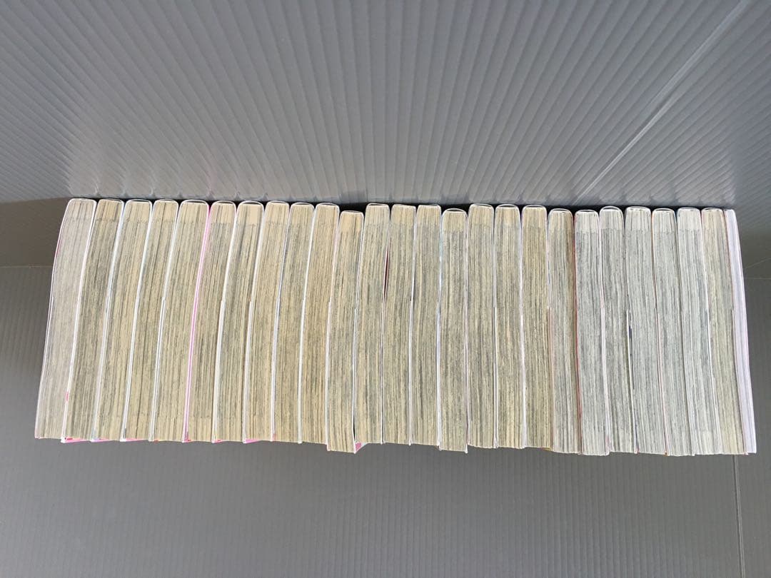 純情ロマンチカ1〜25巻 中村春菊 冊子付き