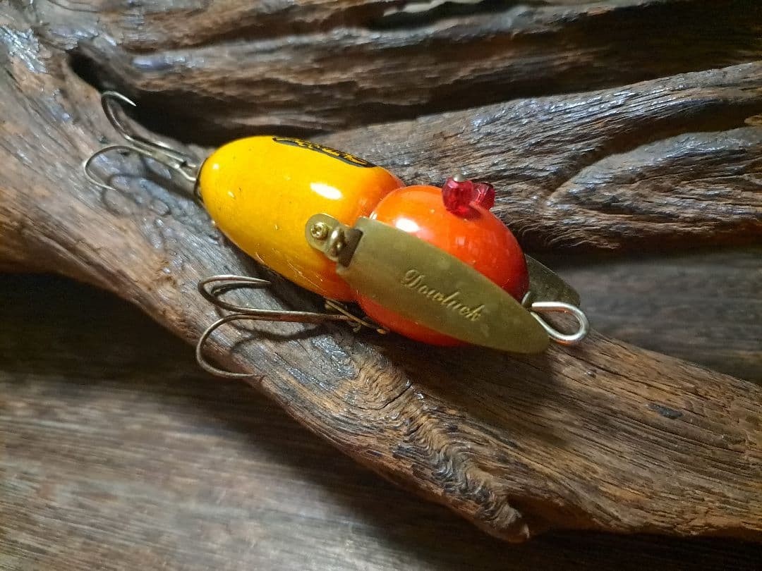 道楽　DOWLUCK 　ドウラク　アブラゼミ　チェリーサンバースト