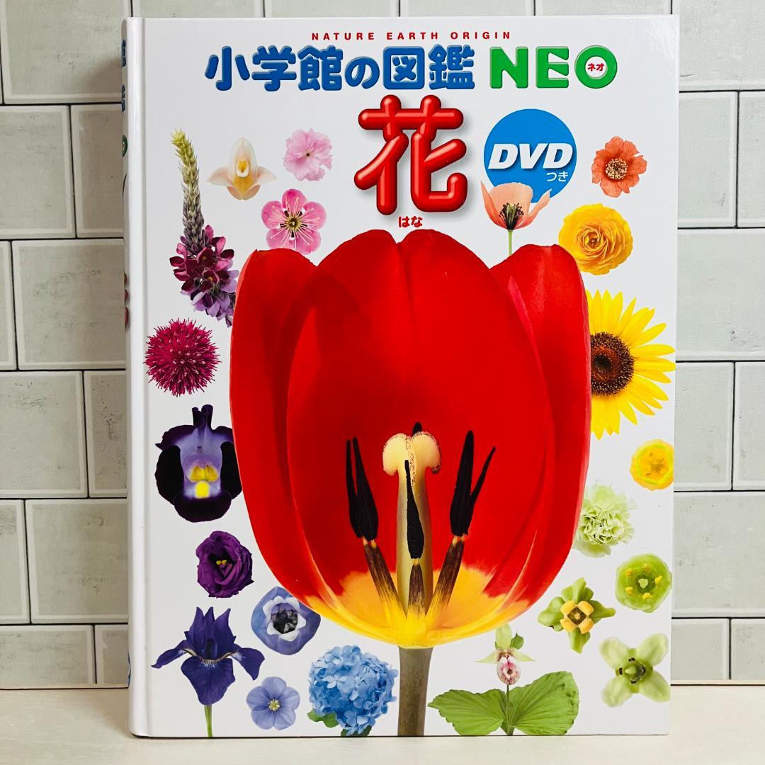 【定番の図鑑】小学館の図鑑NEO 10冊セット