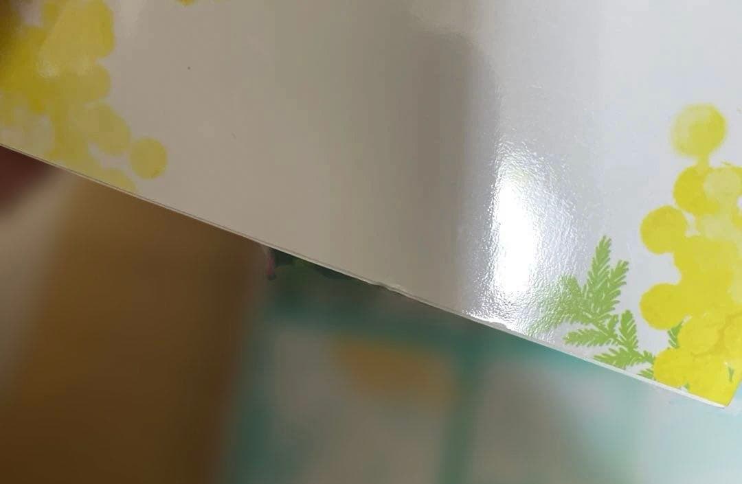 婚約者に忘れられた私、隣国の皇太子殿下と偽装婚約することになりました3