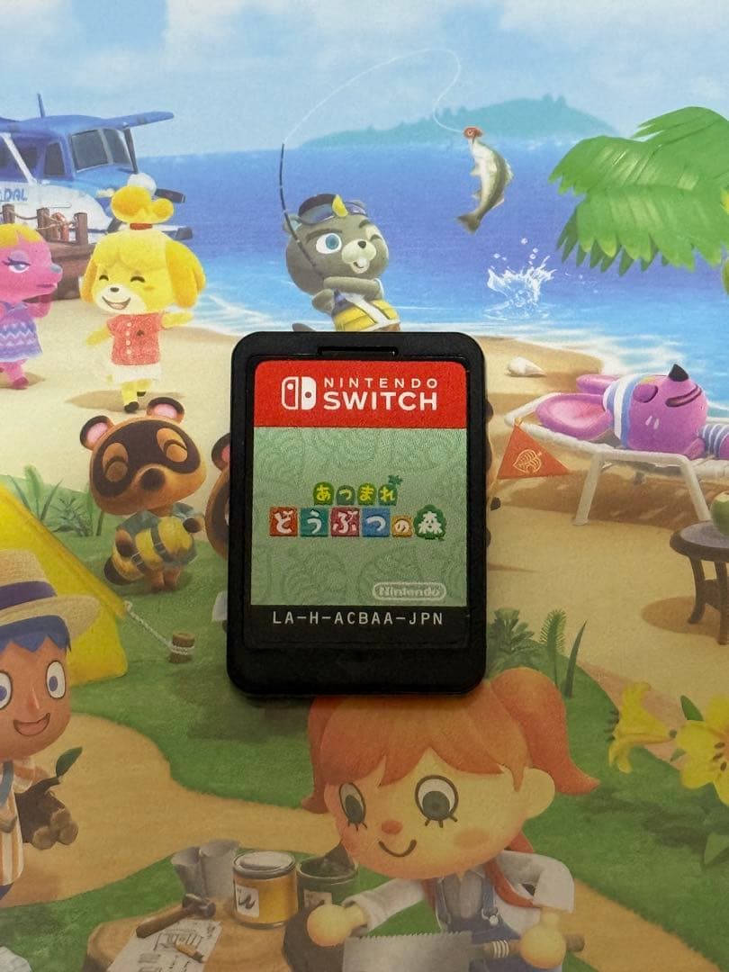 Nintendo Switch Light グレー 本体 あつまれどうぶつの森