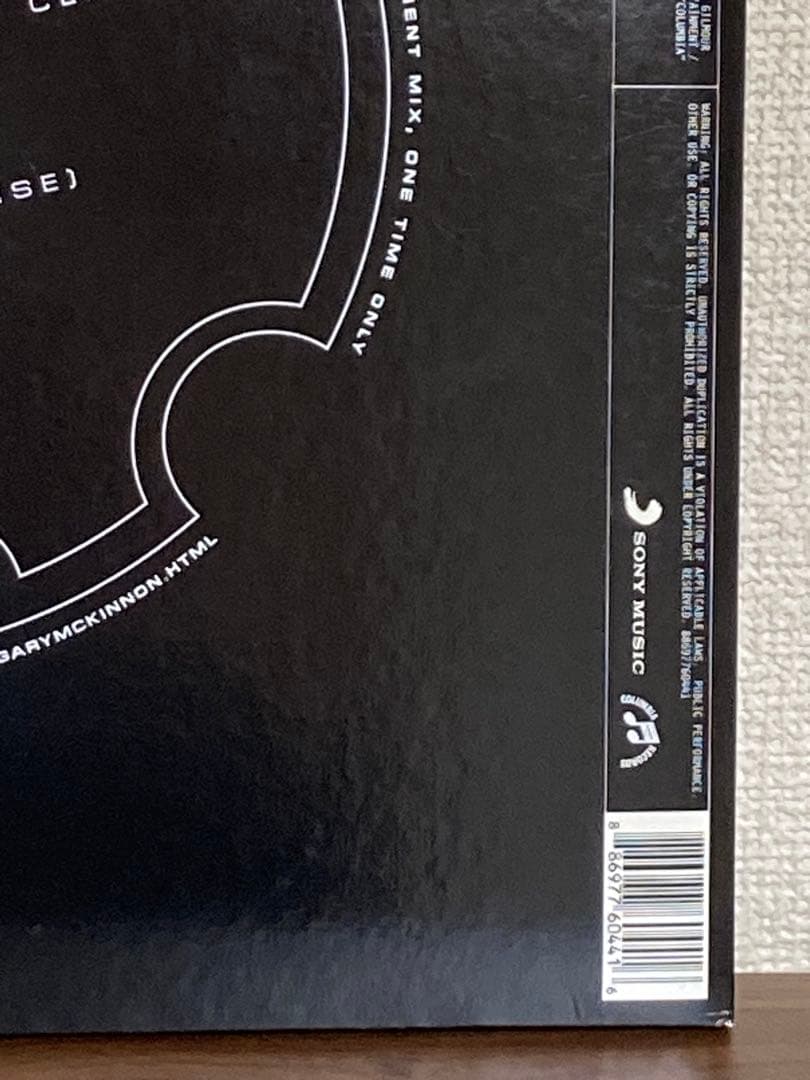 洋楽 The Orb feat. David Gilmour LP