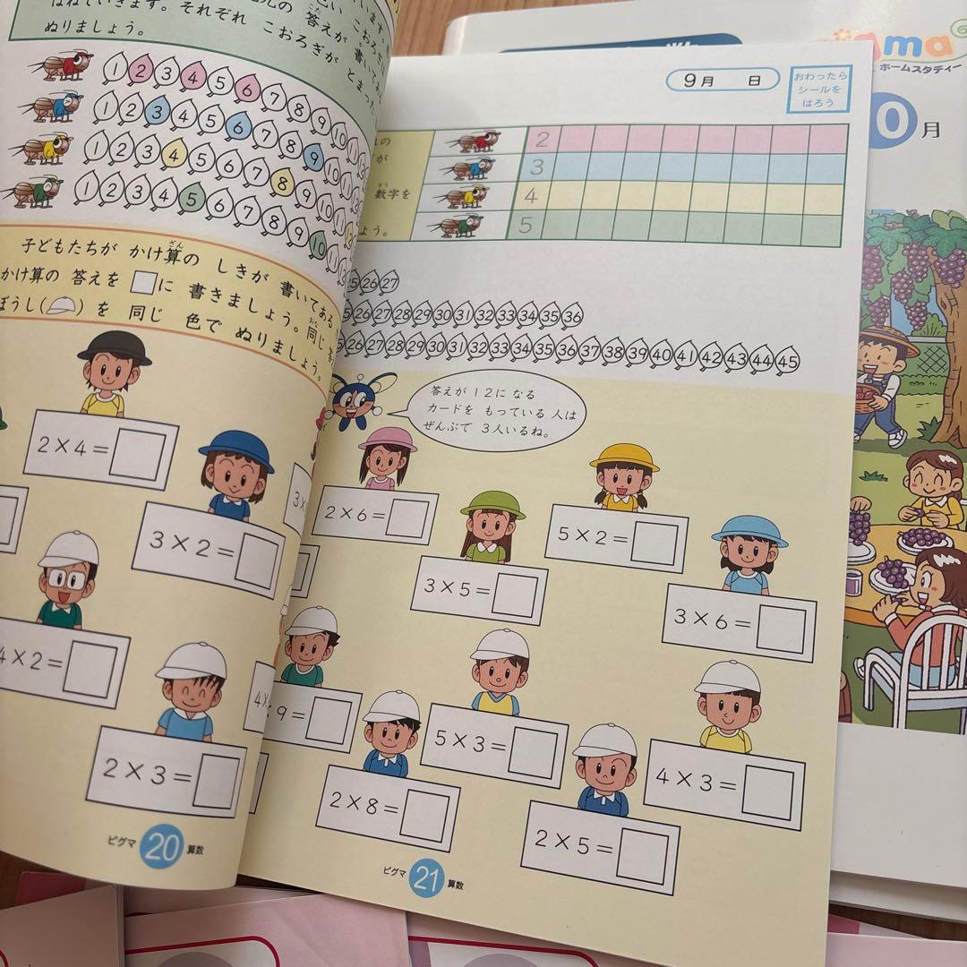 sapixの通信教材ピクマ小2用