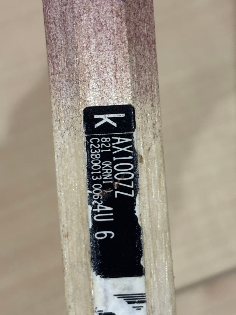 【美品】アストロクス100zz 4UG6