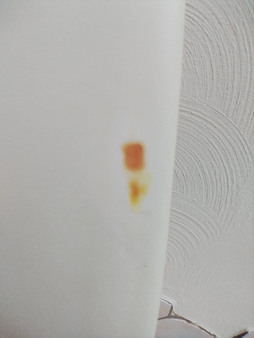 AL MERRICK アルメリック Hoglet／ホグレット