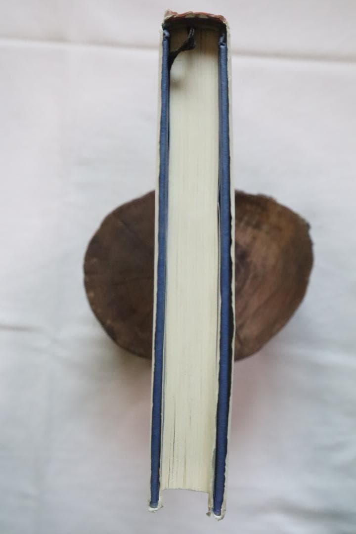 成功曲線を描こう みる夢からかなえる夢へ 石原明著