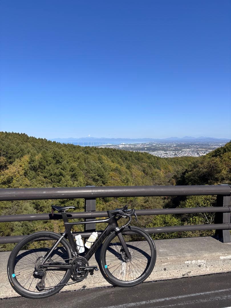 パーツ PROPEL ADVANCED 2 DISC