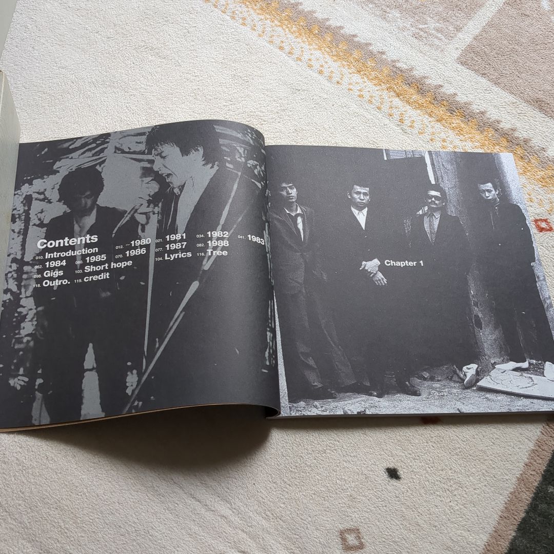 邦楽 THE ROOSTERS virus security