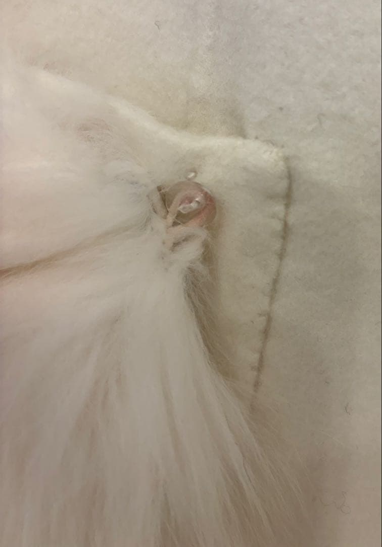 【美品】Salang/FOXファー/ウールケープコート/アイボリー