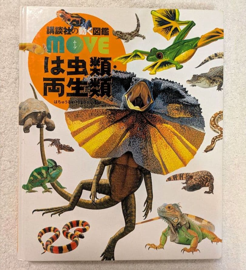 講談社の動く図鑑 MOVE 11巻セット（DVDなし）