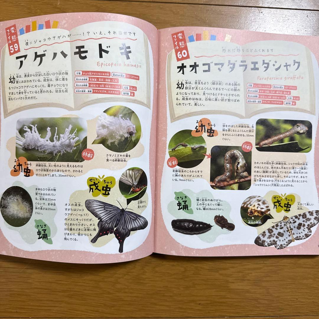 生きかたイロイロ! 昆虫変態図鑑